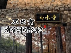 -白水寺森林公园