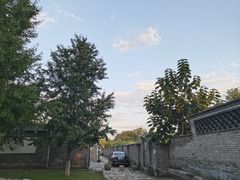 -三里河公园