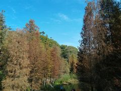 -云溪植物园