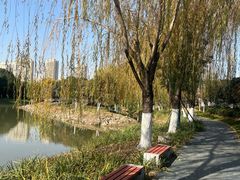 -皇粮浜湿地公园