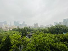 -团结湖公园