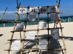 -三亚蜈支洲岛旅游区