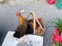 -长兴慧子土特产茶行