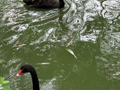 -济南野生动物世界