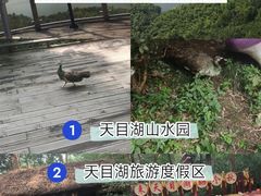 -天目湖山水园