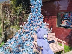 -土砂锅生态山庄·非遗砂锅雅鱼