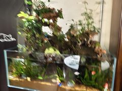 -阿莉餐厅(枣阳路店)