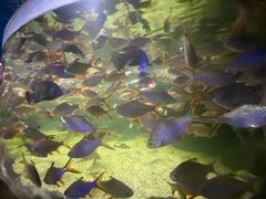 -多彩贵州城极地海洋世界