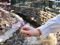 -红螺寺
