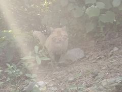 -敬亭山风景名胜区