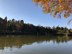 -海南椰子鸡餐厅(三亚湾红树林店)