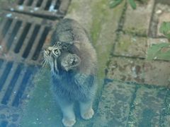 -青藏高原野生动物园