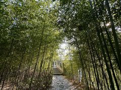 -苏州太湖国家湿地公园