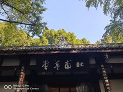 -陈麻婆豆腐(旗舰店)