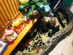 -琴寿司居酒屋(中山广场店)