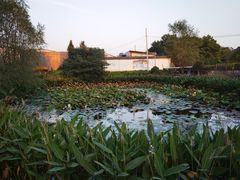 -元鼎宝驴香·全驴宴(江宁店)