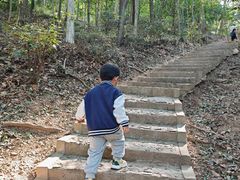 -上海佘山国家森林公园天马山园