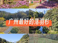 -云溪植物园