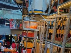 -嗨翻Hi-Fun竞技主题乐园·蹦床团建生日聚会(五棵松华熙店)