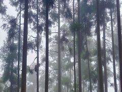 -太阳湾风景区