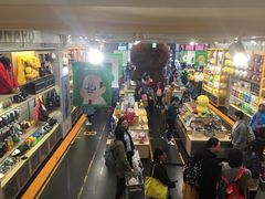 -line friends(明洞旗舰店)