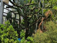 -南山植物园