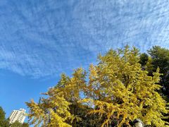 -苏州河梦清园环保主题公园