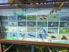 -盐城丹顶鹤湿地生态旅游区