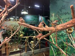 -Zoolung Zoolung动物主题公园(海信广场店)