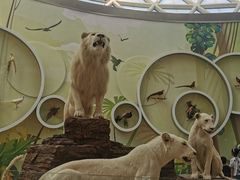 -陕西自然博物馆