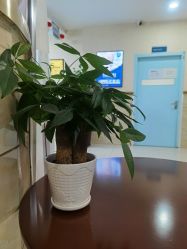 -成都军建医院·疤痕诊疗中心