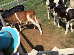 -米悦量贩式KTV(悦海新天地店)