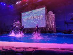 -华夏文旅海洋公园