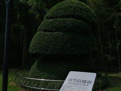 -苏州河梦清园环保主题公园