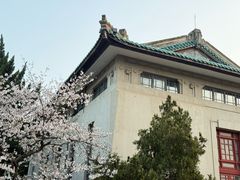 -武汉大学-樱园