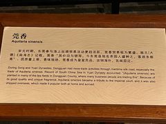 -东莞展览馆