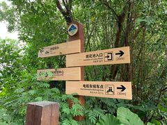 -大湾区中央湿地公园
