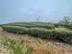 -宝业会稽山高尔夫俱乐部