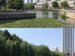 -后襄河公园
