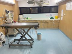 -艾贝尔宠物医院·24H转诊中心·肿瘤猫专科(江宁双龙店)