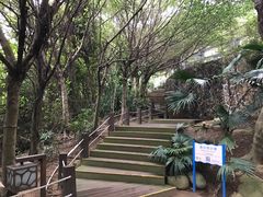 -东澳岛