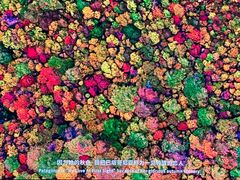 -罗红摄影艺术馆