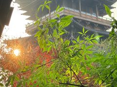 -杭州半山国家森林公园