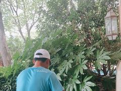 -舟际皮划艇俱乐部(淀山湖富力湾店)