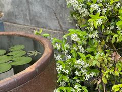 -黎里王记辣脚(黎里总店)