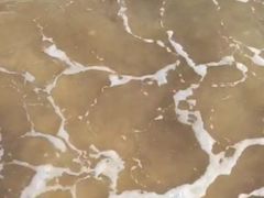 -碣石国家级海洋公园