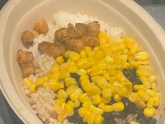 -油梨树AVOCADO TREE(顺义新国展店)