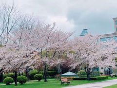 -复旦大学光华楼