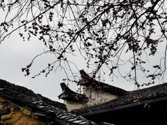 景点-新安江山水画廊风景区