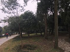 -采石矶景区